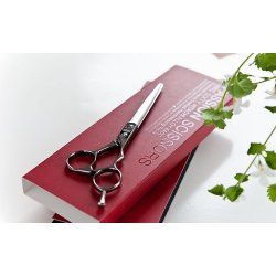 Passion Microlight 50