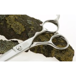 Kyoto Sprint Left 50